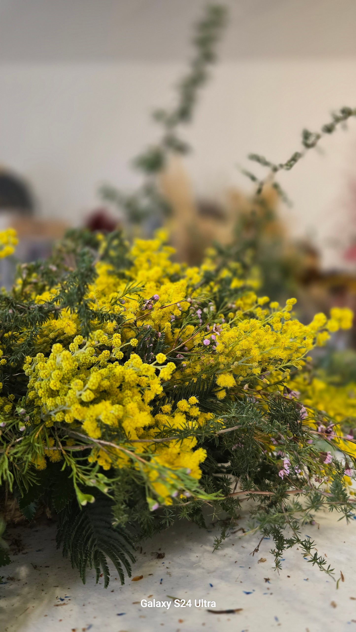 "Mimosa mood" - fresh wreath